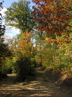 Le parc de davaine