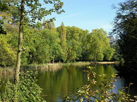 L'tang de Villeneuve