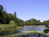 Foret Rueil
